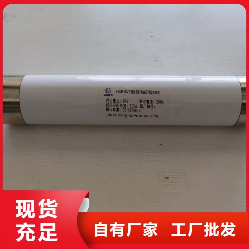 高压熔断器XRNP-10KV高压限流熔断器好品质用的放心附近公司