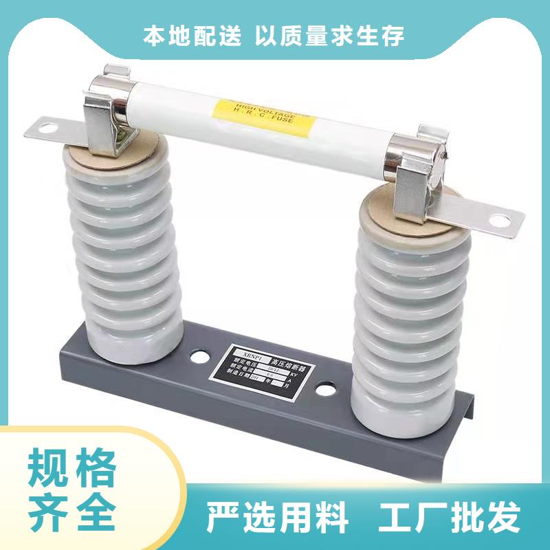 【高压熔断器高压氧化锌避雷器优质材料厂家直销】用品质说话