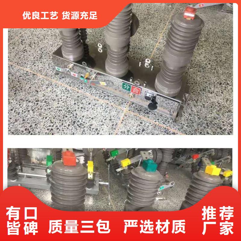 真空断路器高压限流熔断器敢与同行比质量随心所欲定制