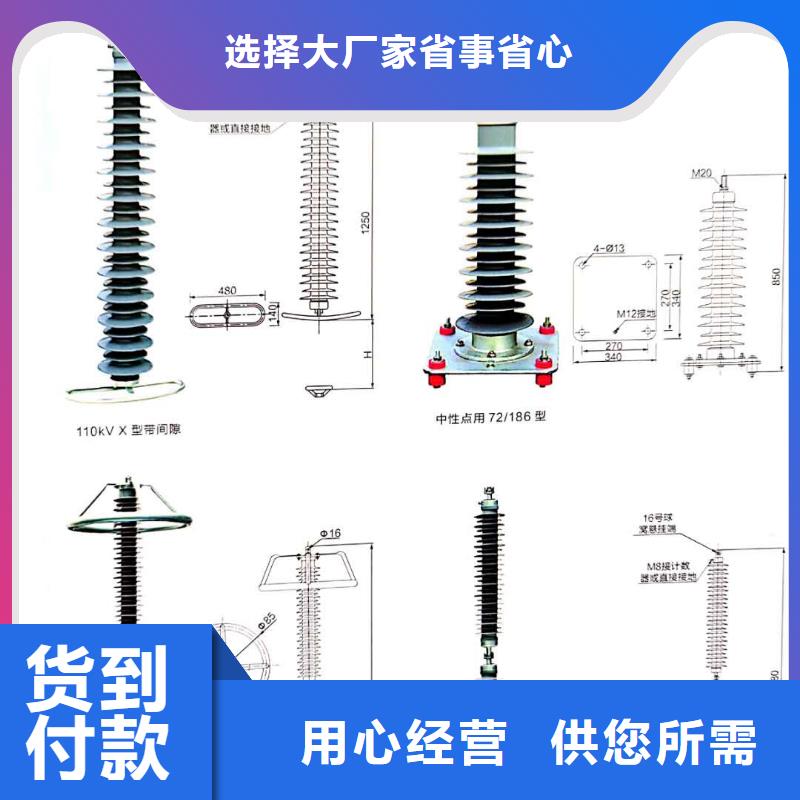 【氧化锌避雷器】PT手车甄选好物工程施工案例