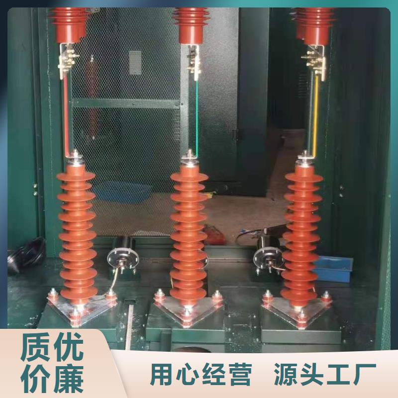 氧化锌避雷器,高压限流熔断器全新升级品质保障多年行业经验