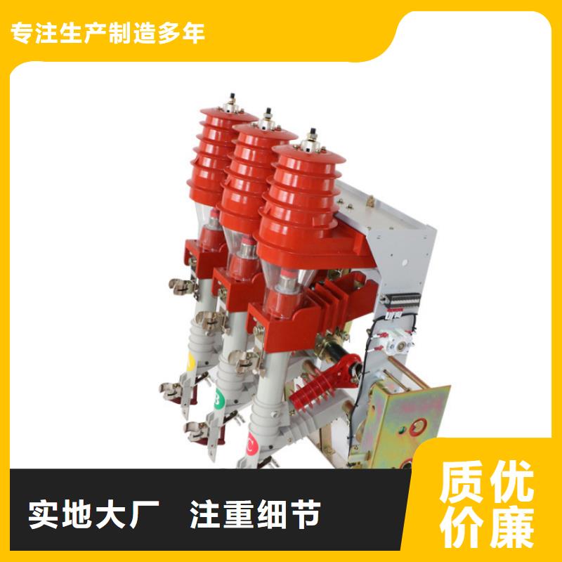 高压负荷开关户外高压真空智能断路器老客户钟爱大厂生产品质