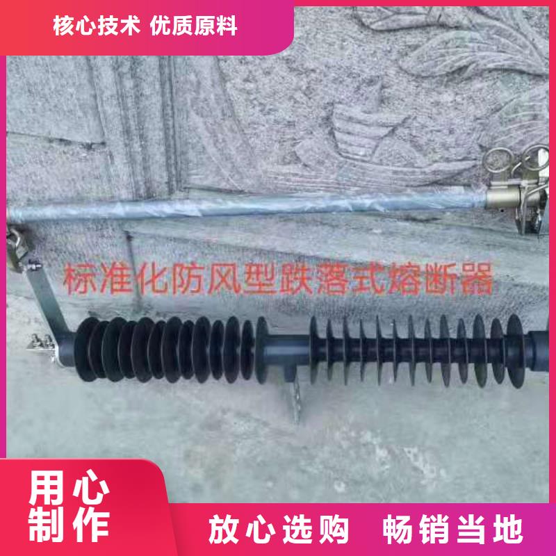 【跌落式熔断器高压氧化锌避雷器按需定做】好品质经得住考验