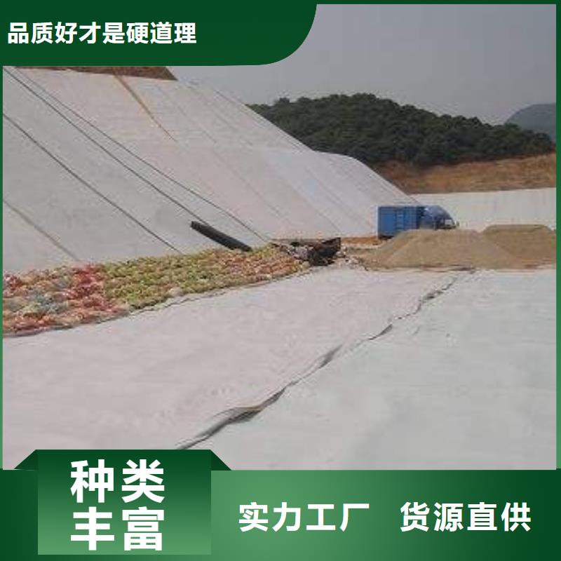 复合土工膜城建土工膜现货供应产品细节