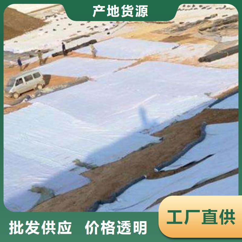 【膨润土防水毯】_塑料土工滤网货源充足本地生产商