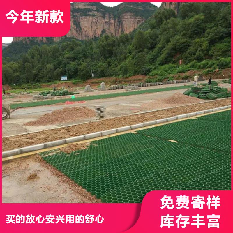 植草格,城建土工膜种类丰富附近供应商