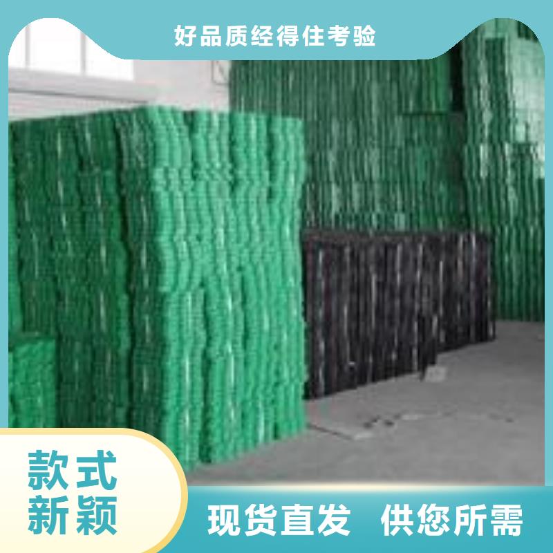 植草格单向塑料土工格栅量大从优品质卓越