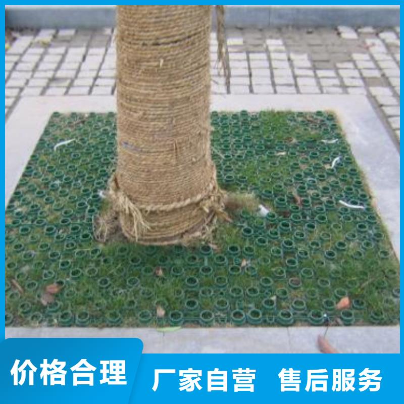 【植草格】HDPE土工膜匠心打造海量现货