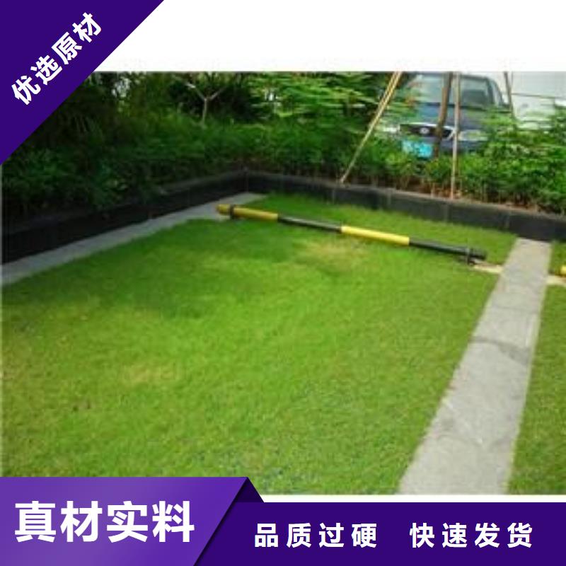 【植草格】护坡土工网拒绝中间商同城货源