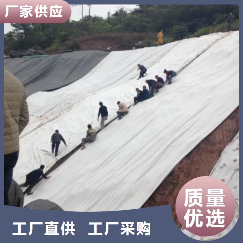 【膨润土防水毯防尘布优质材料厂家直销】同城生产商