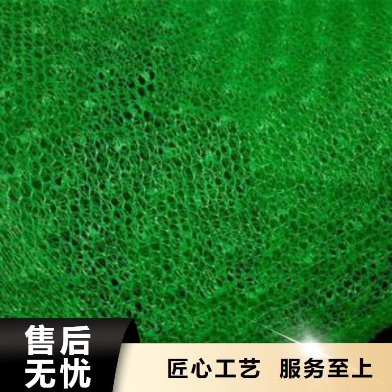 【三维植被网,涤纶土工格栅货源直供】正品保障