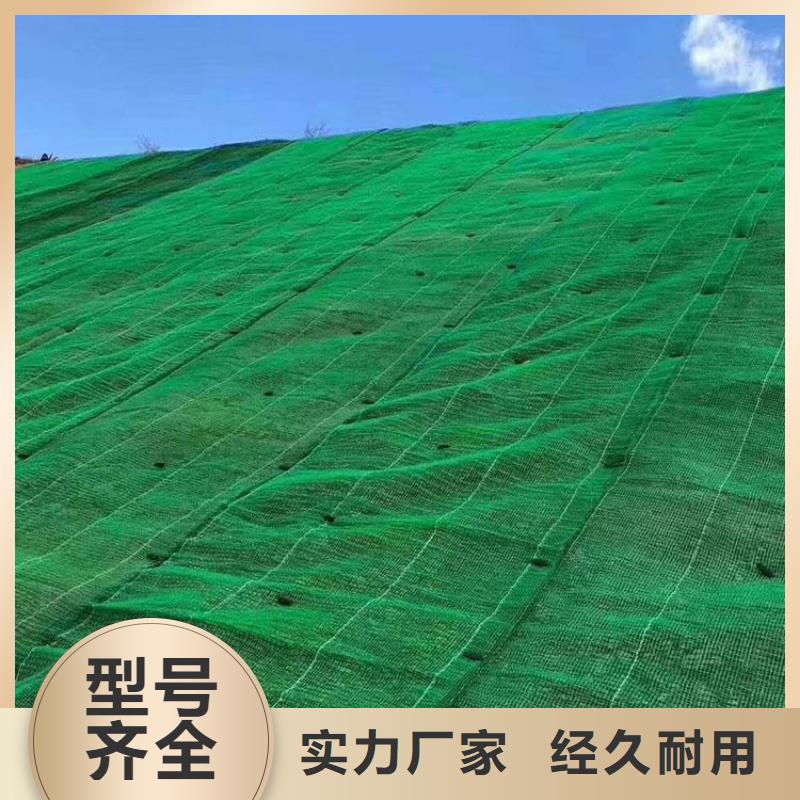 三维植被网双向塑料格栅现货满足大量采购制造生产销售