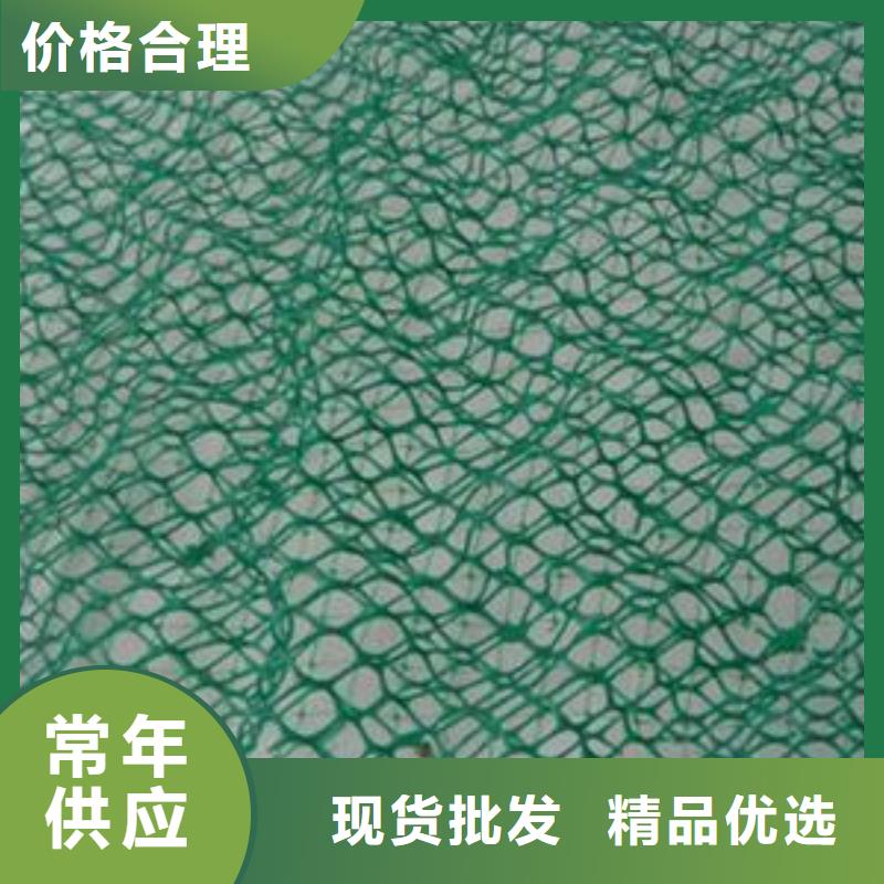 三维植被网涤纶土工格栅精选优质材料本地生产商