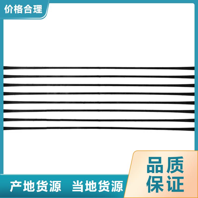 单向拉伸塑料格栅-长丝土工布实力大厂家专业生产厂家