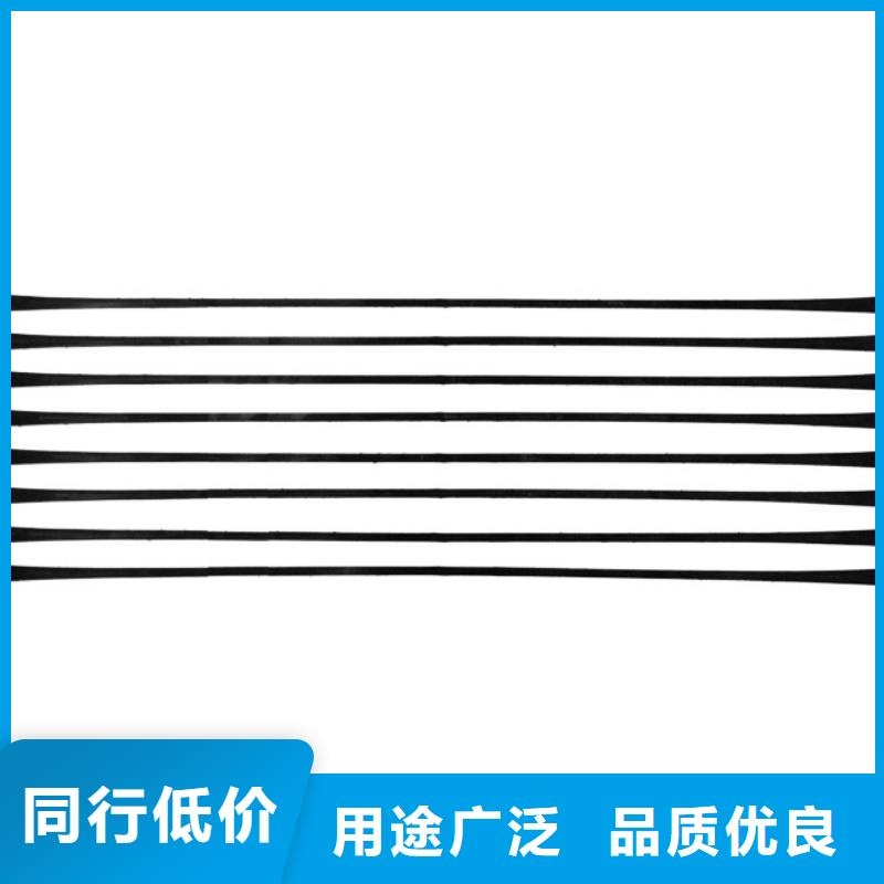 【单向拉伸塑料格栅_水土保护毯质量上乘】当地生产厂家