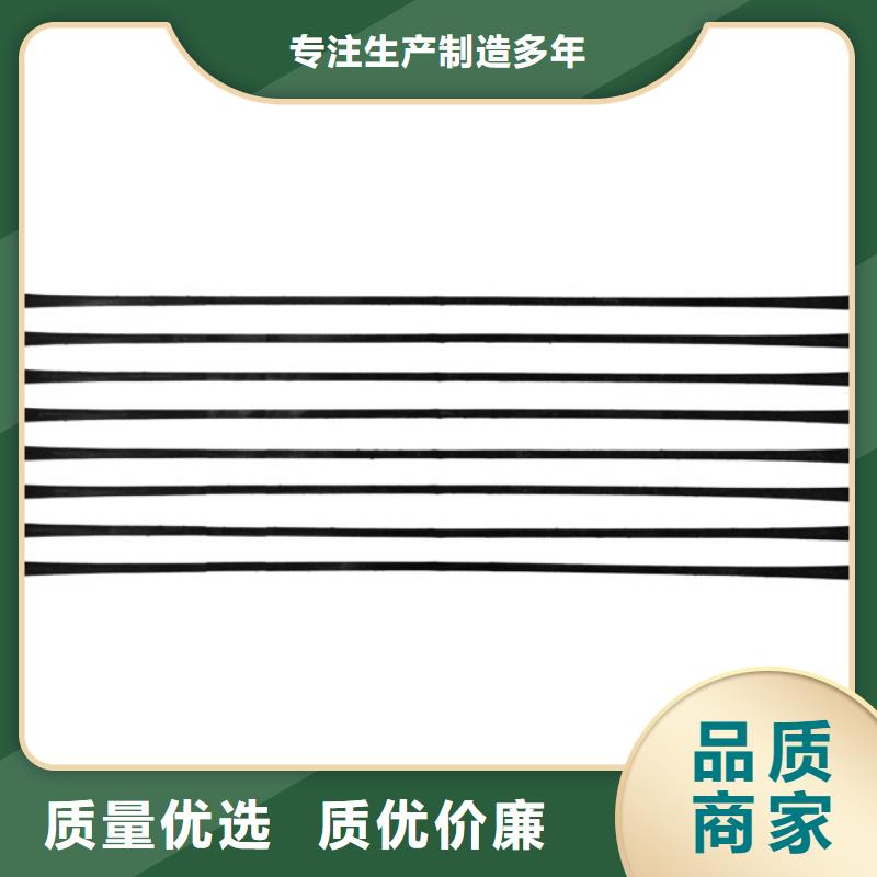 单向拉伸塑料格栅-长丝土工布工厂直营实地大厂