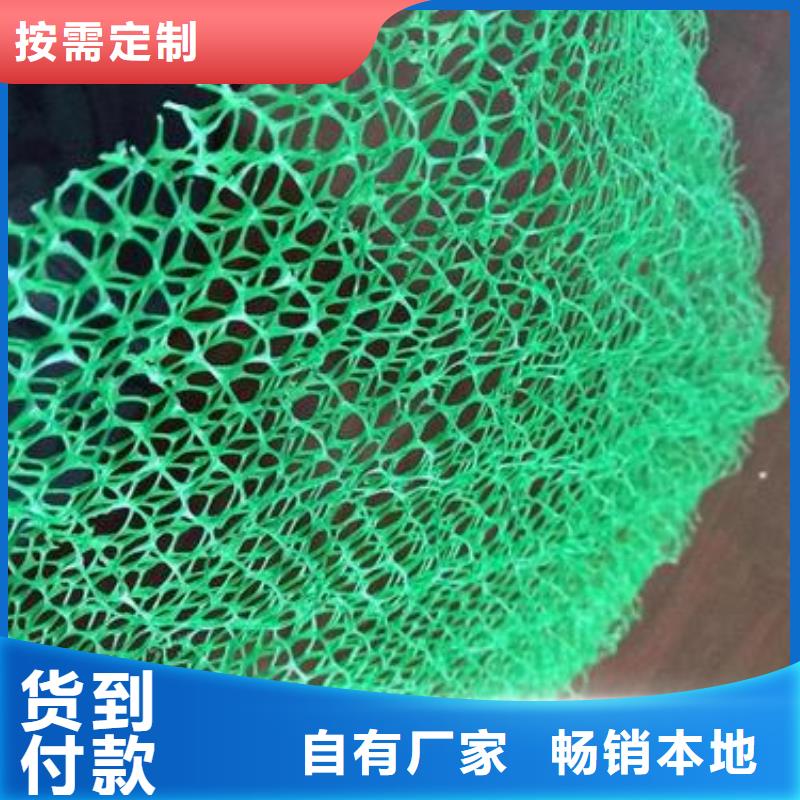 三维植被网,钢塑土工格栅可放心采购源头厂商