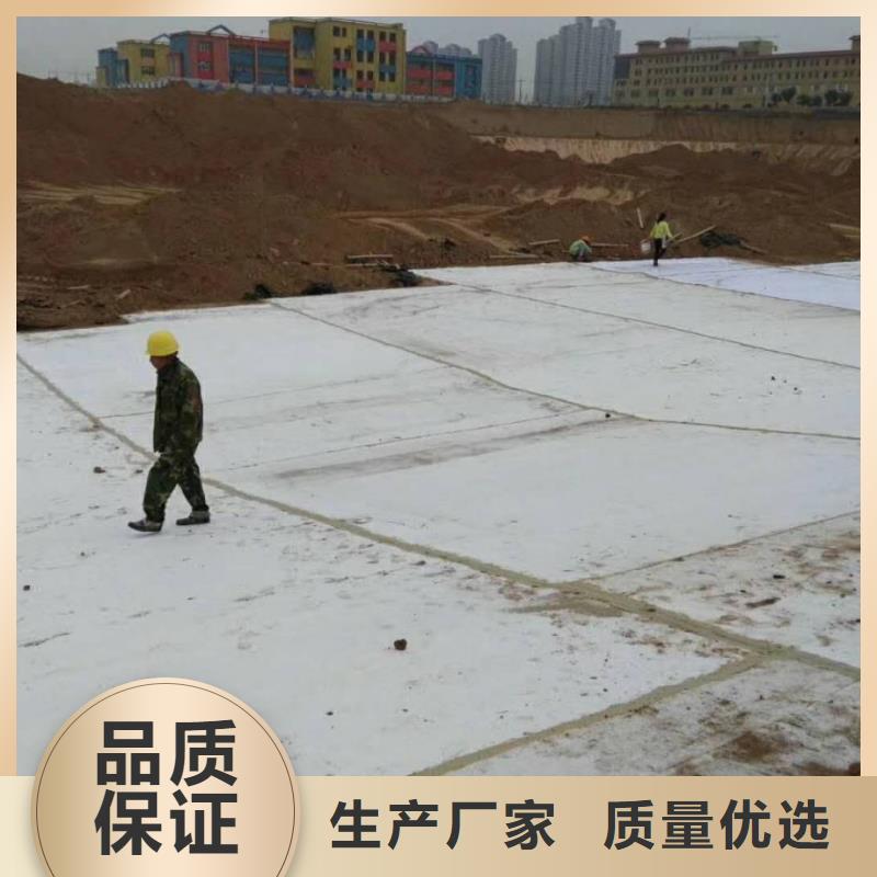 防水毯-钢塑土工格栅厂家工厂批发好品质经得住考验