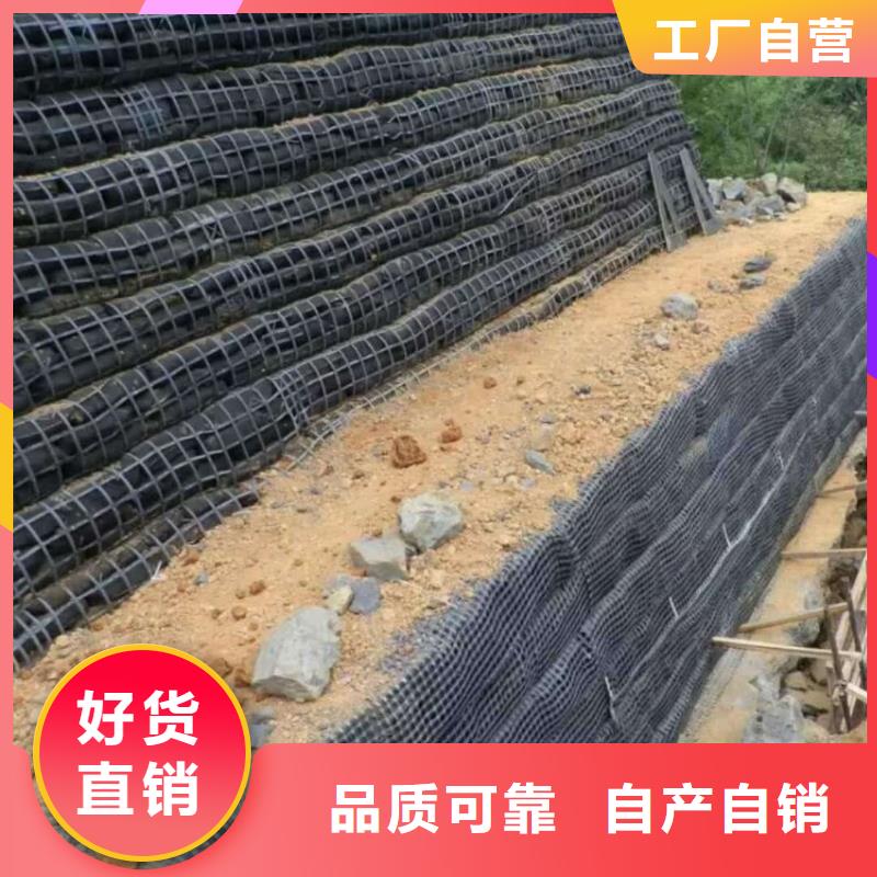 土工格栅单向塑料土工格栅实力工厂当地厂家