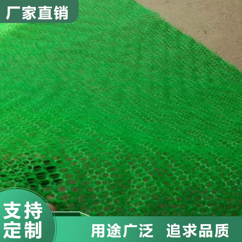 三维植被网-塑料排水板安心购附近经销商