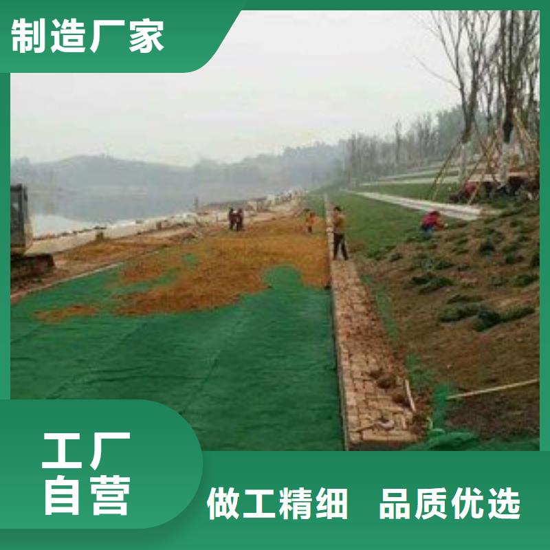 三维植被网聚丙烯双拉土工格栅口碑好实力强本地供应商