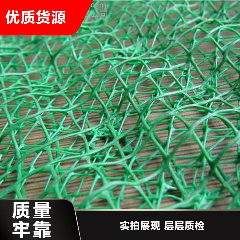 三维植被网防水土工布厂家品质有保障同城品牌