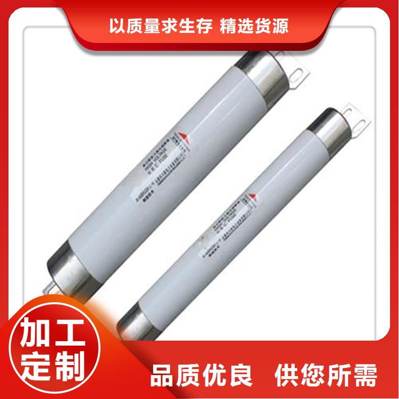 XRNP-12KV/2A变压器用熔断器附近经销商