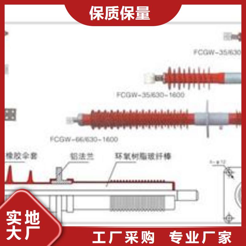 CWW-10/630A陶瓷套管真诚合作