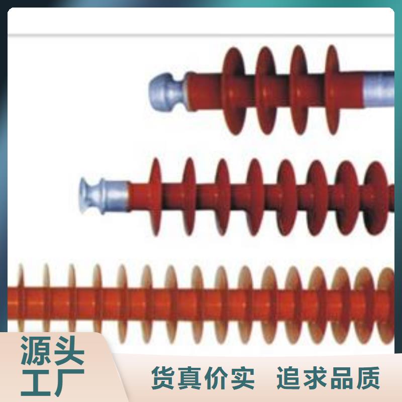 绝缘子_【氧化锌避雷器】型号齐全老客户钟爱