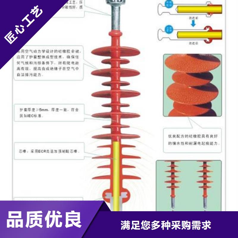 绝缘子真空断路器多种规格库存充足多年厂家可靠