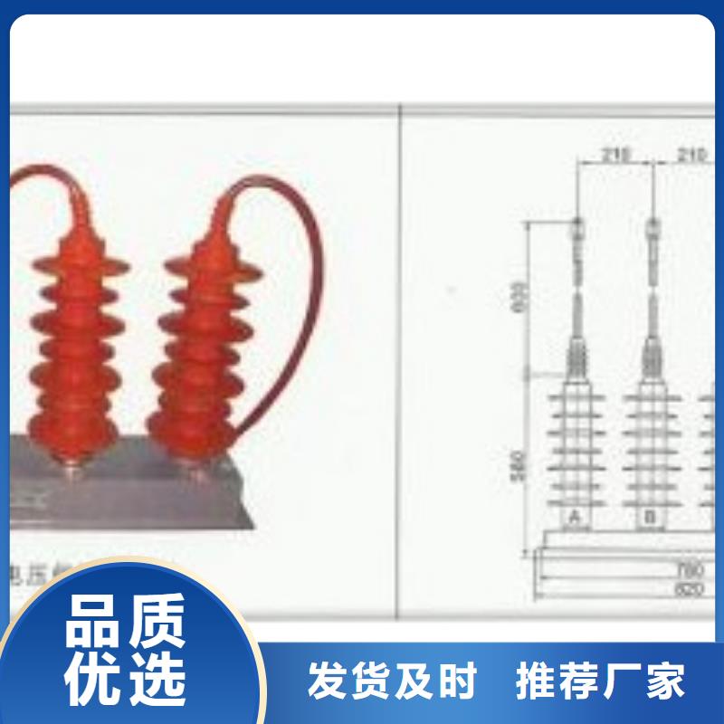 过电压保护器【跌落式熔断器厂】一周内发货当地生产厂家