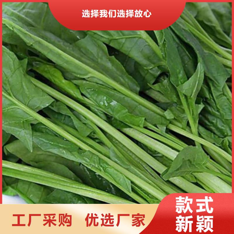 菠菜粉供应用心制作