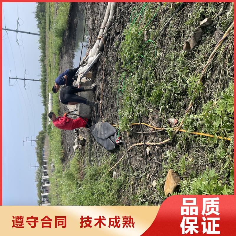 管道安装气囊封堵【本地施工队】当地生产商