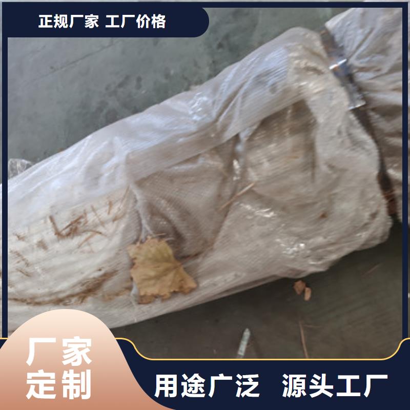 河边不锈钢护栏批发供应好产品有口碑