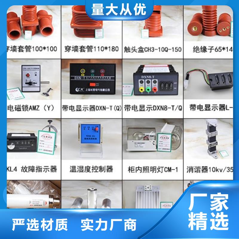 【高压隔离开关】CW2智能型式断路器生产安装安心购