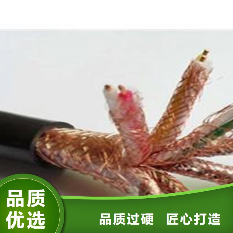 计算机电缆屏蔽电缆多年行业经验好品质用的放心