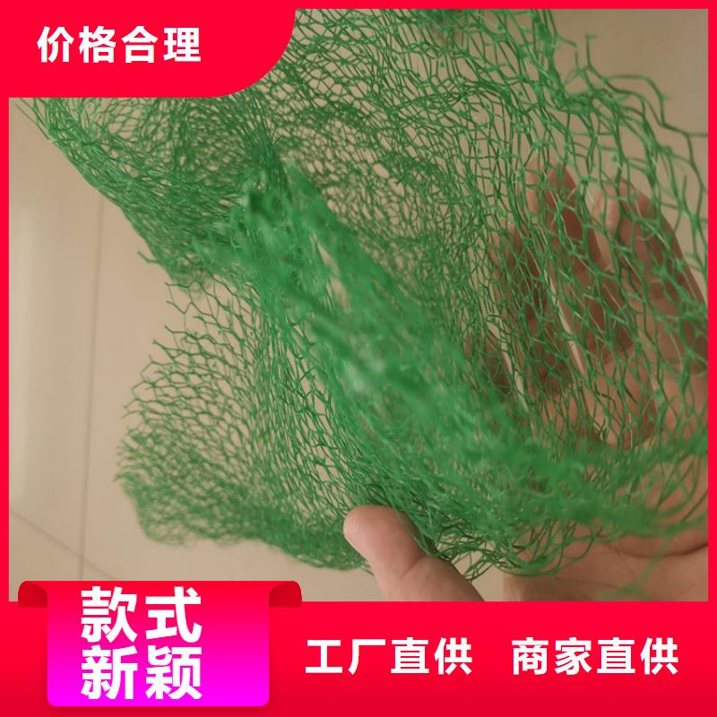 三维植被网_土工格栅信誉至上同城品牌