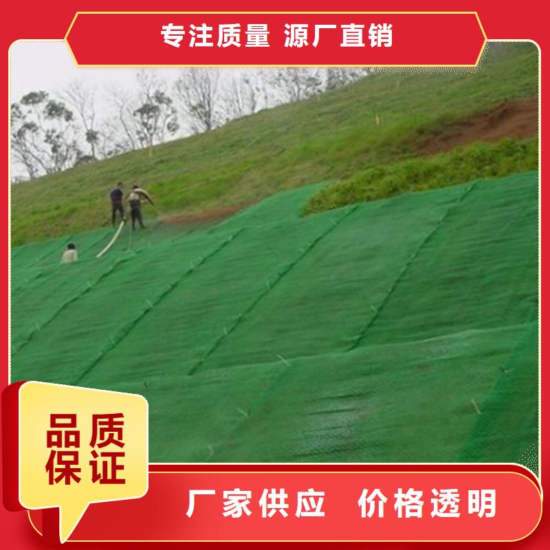 三维植被网-土工膜实力工厂严选好货