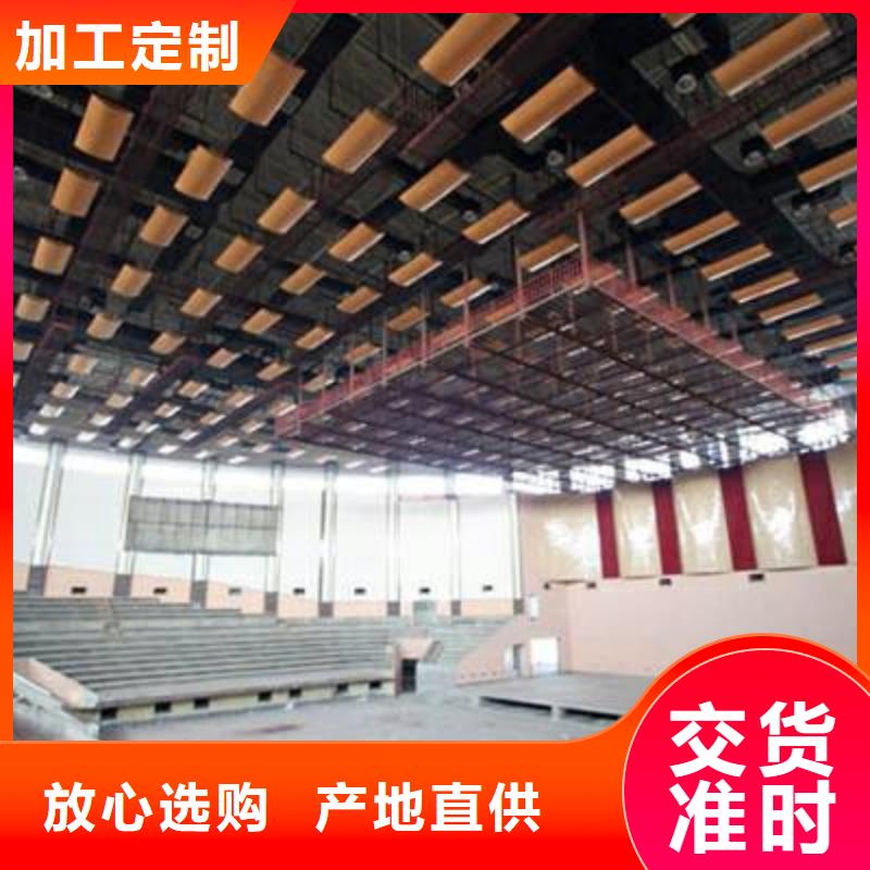 广东省珠海市莲洲镇学校体育馆吸音改造方案--2024最近方案/价格来图来样定制