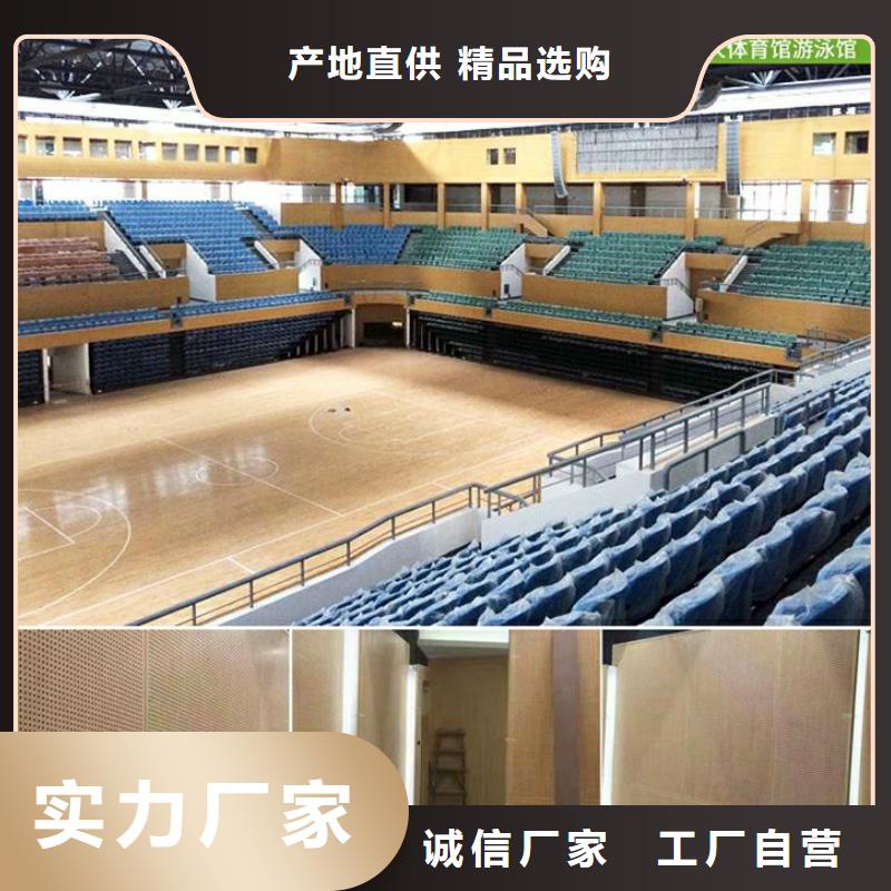 多功能体育馆声学改造公司--2024最近方案/价格当地生产厂家