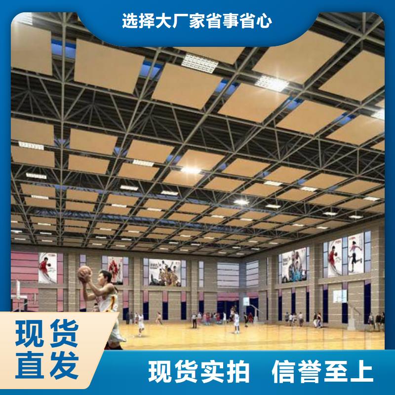 县比赛体育馆声学改造公司--2024最近方案/价格附近服务商