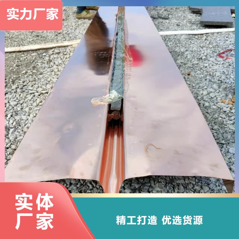 定安县止水铜片施工队伍价格当地厂家