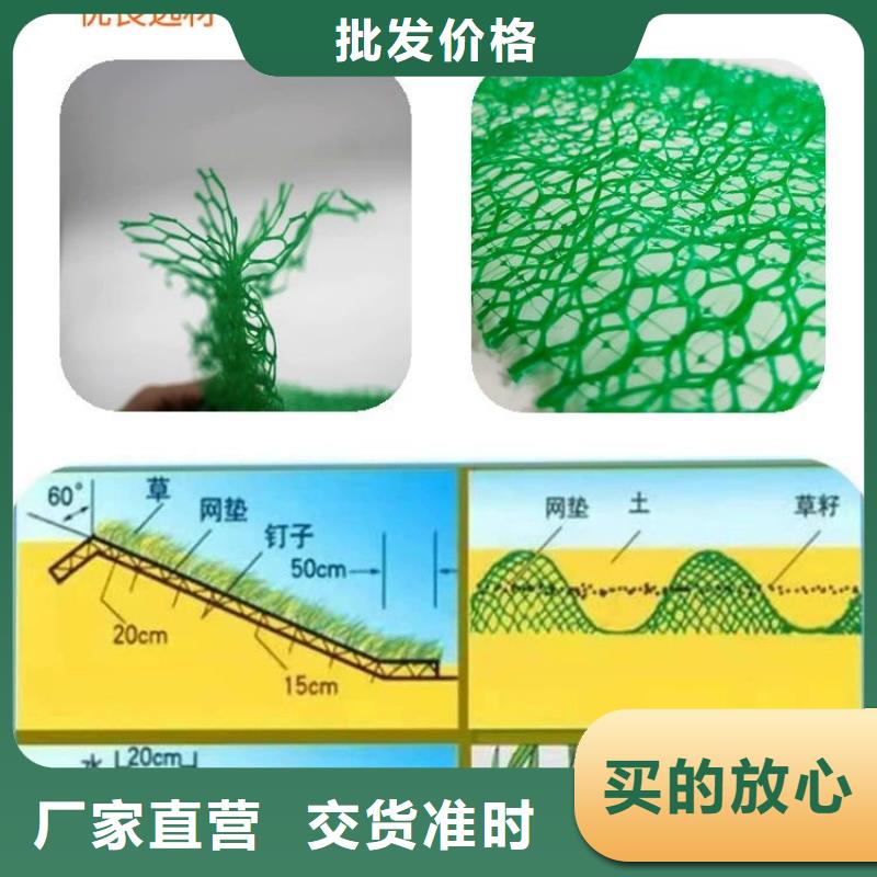 三维植被网【仿钢塑钢纤维】厂家直营产品性能