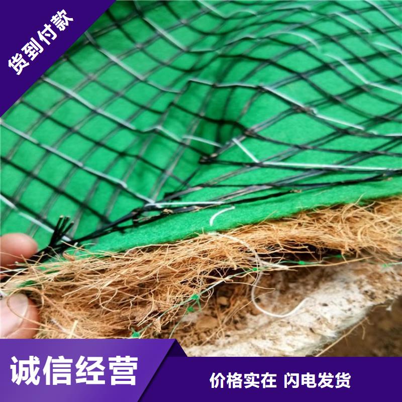 椰丝毯_三维植被网匠心品质本地生产商