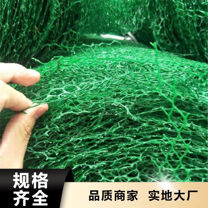 【三维植被网】-抗裂贴品质商家当地品牌