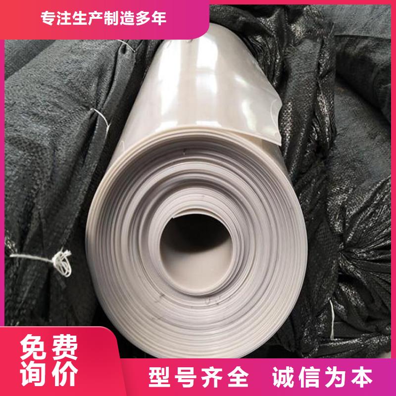 【防水板】双向土工格栅高品质现货销售同城制造商