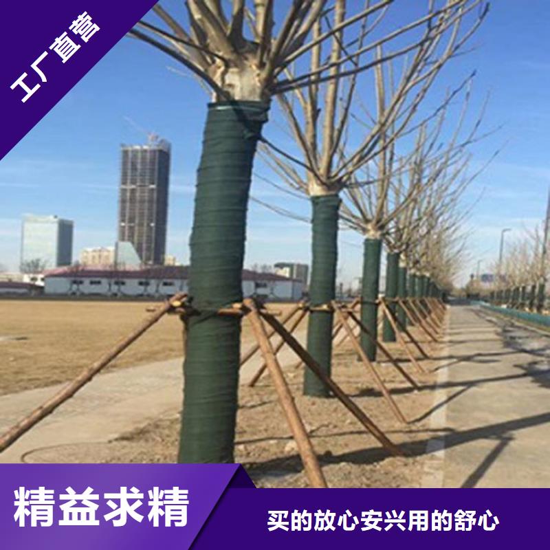 裹树布,【玻纤土工格栅】源头厂商畅销当地