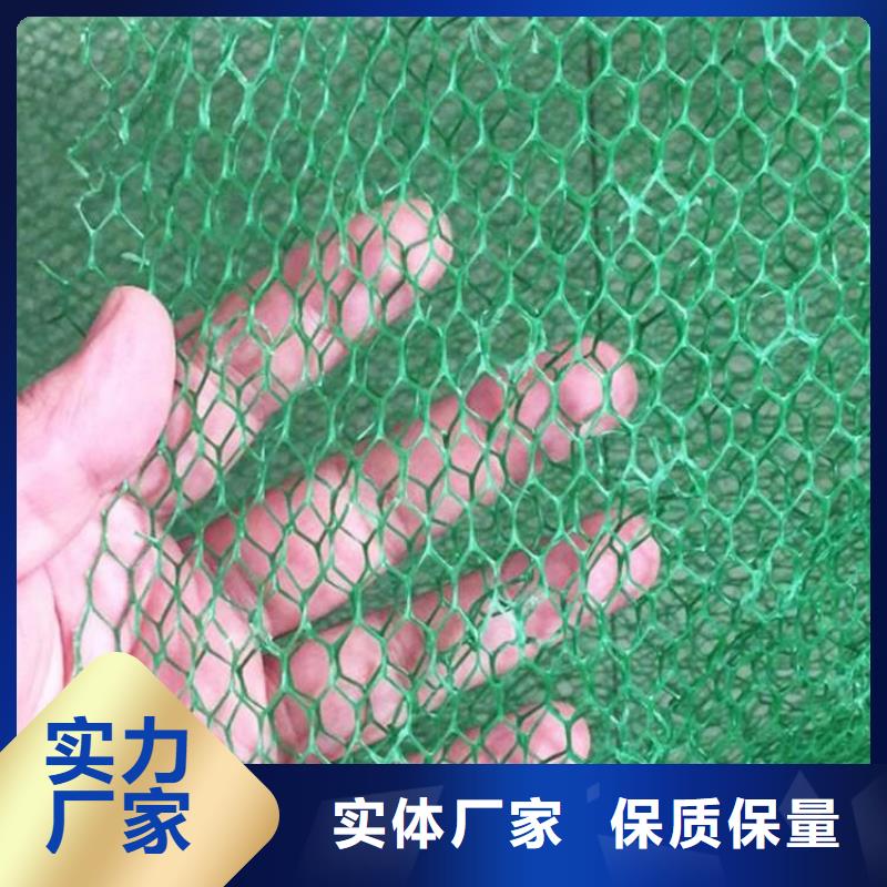 【三维植被网土工格栅用好材做好产品】支持定制加工