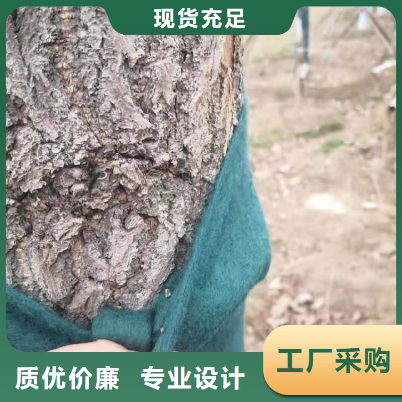 【裹树布-双向土工格栅随心所欲定制】量大更优惠