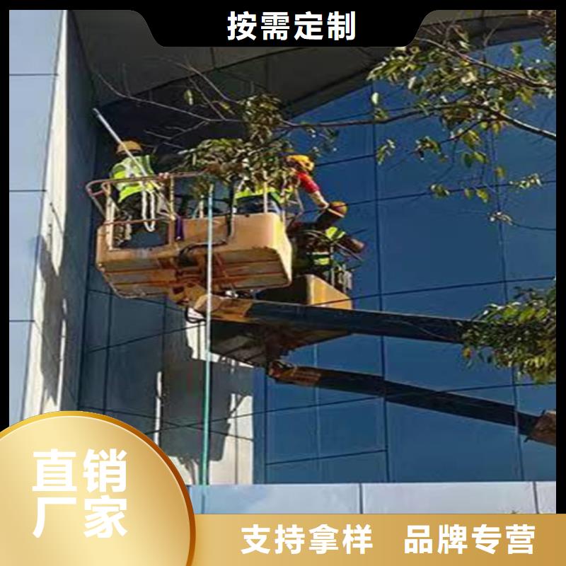 外墙清洗_害虫防治精工打造优良材质